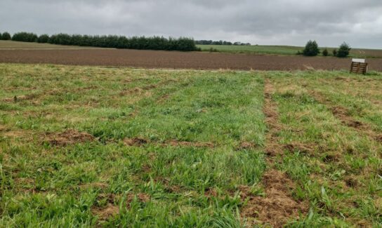 Terrain constructible de 641 m² à Gerponville