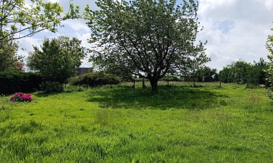 Terrain constructible de 800 m² à Butot-Vénesville