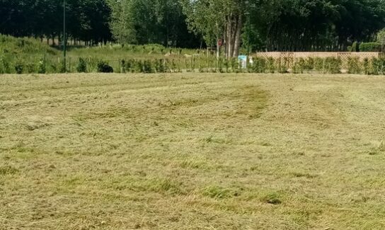 Terrain constructible de 720 m² à Criquetot-sur-Ouville