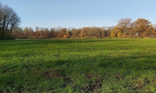 Terrain constructible de 1784 m² à Amiens
